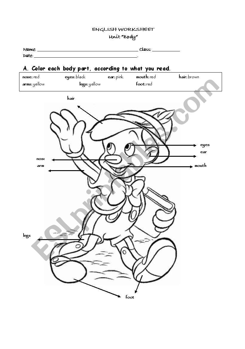 Color the body parts worksheet