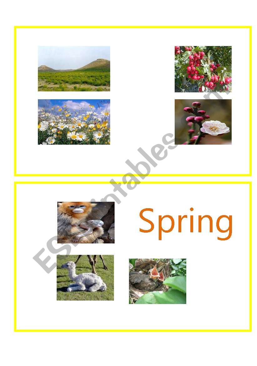 fourth seasons (Spring) worksheet