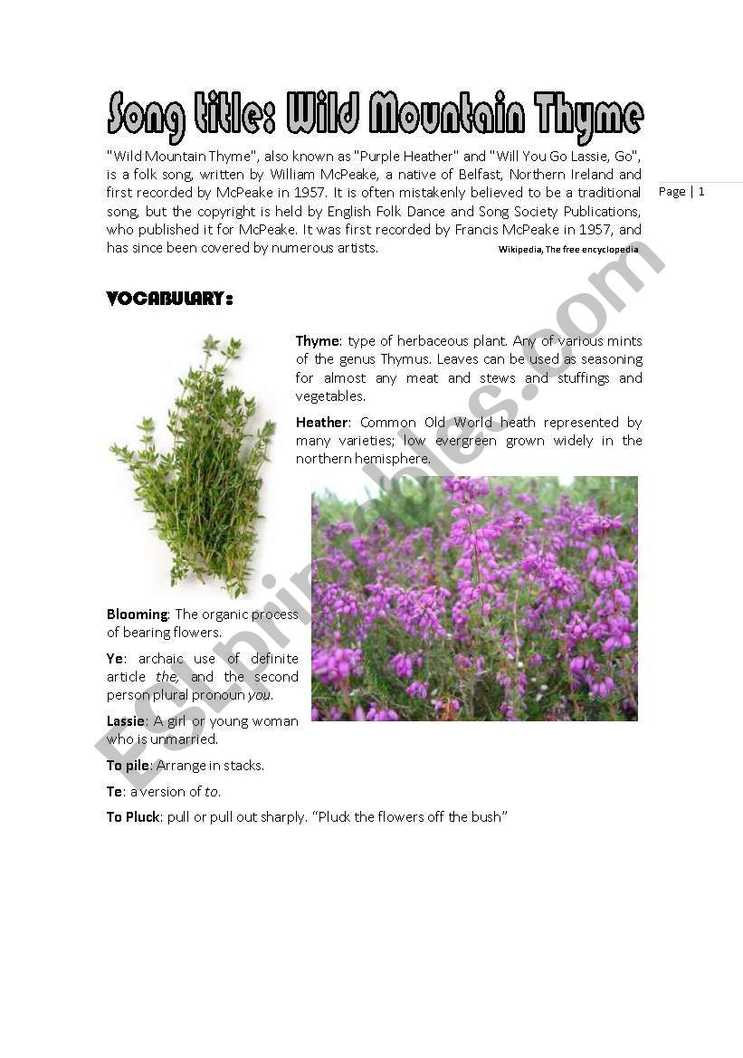 Wild Mountain Thyme song worksheet