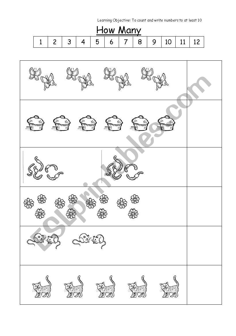 COUNTING  worksheet