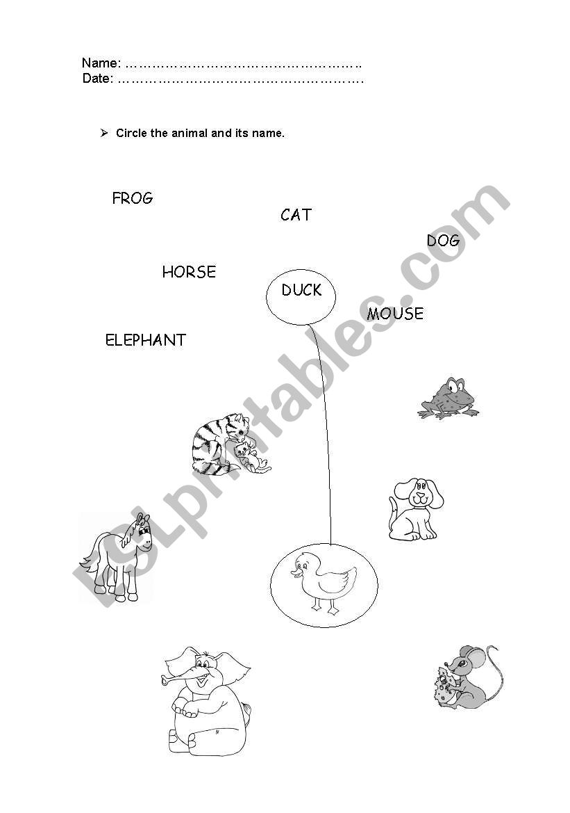 Animals worksheet