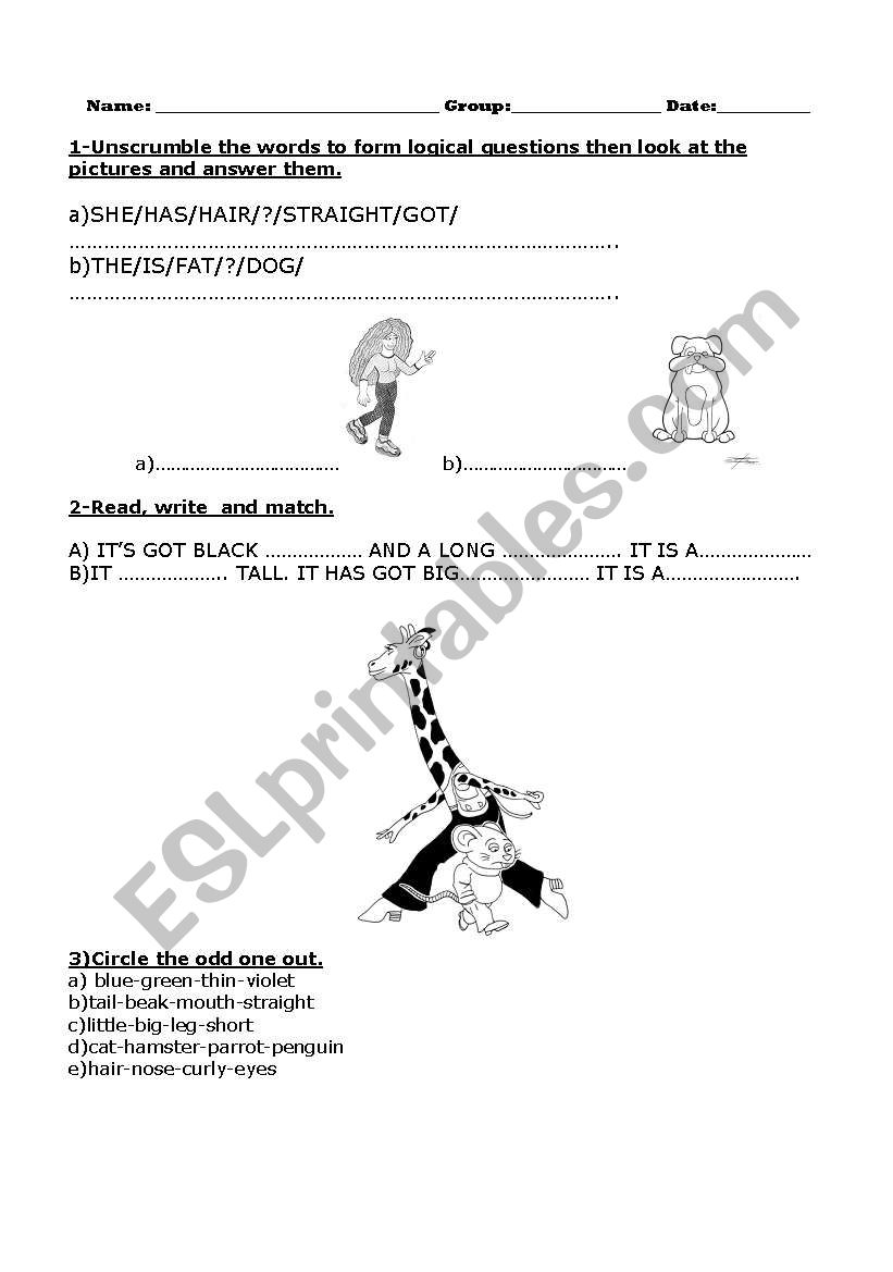 adjectives worksheet