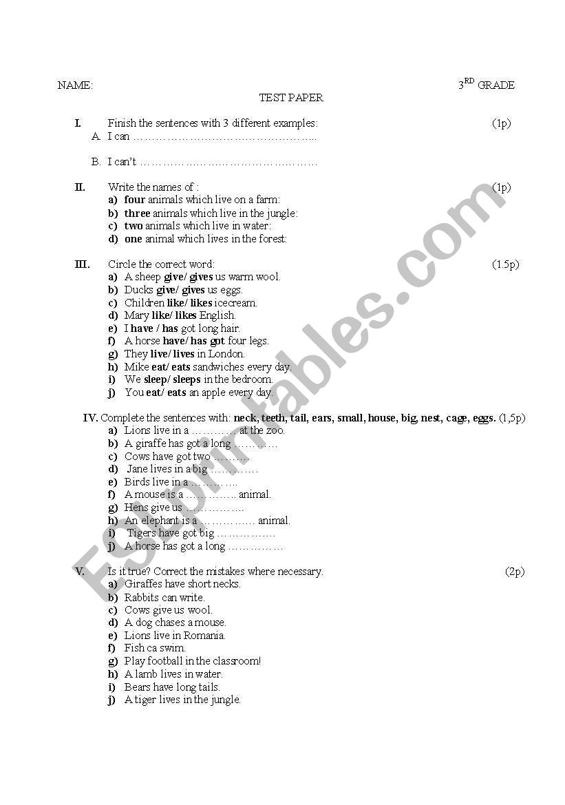 3rd grade Test paper worksheet