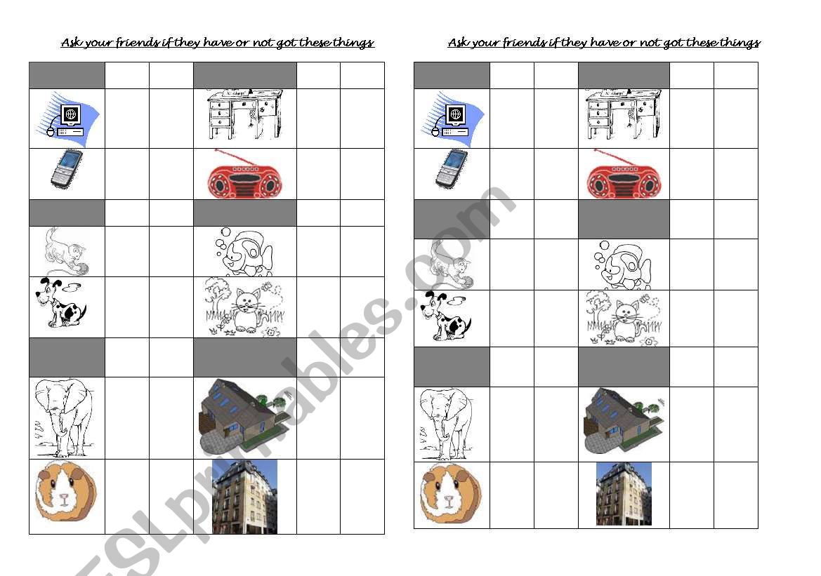 have you got...? worksheet