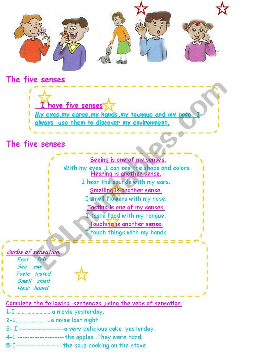The five senses worksheet