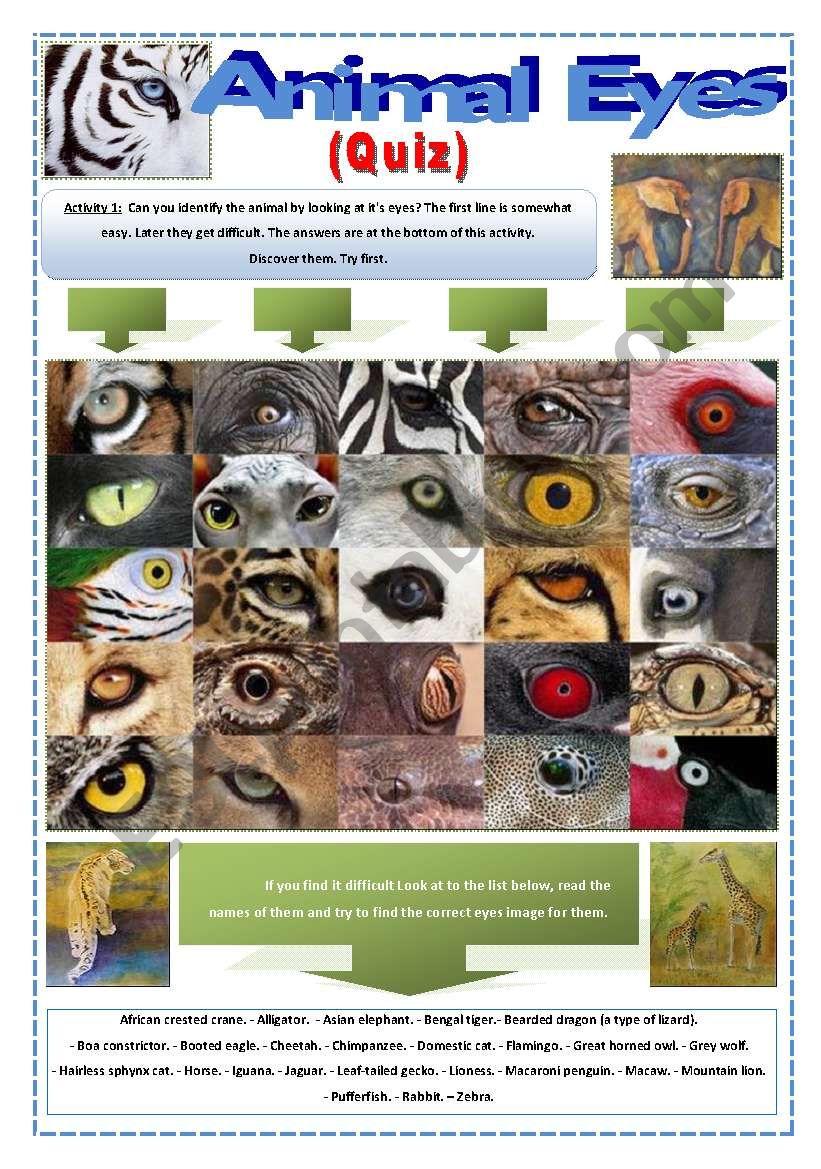 QUIZ - ANIMAL EYES -  (7 Pages) with an interesting activity with images of EYES of wild animals + Instructions and 5 extra activities to work with them