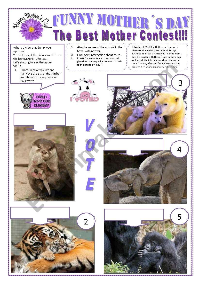 FUNNY MOTHERÂ´S DAY - THE BEST MOTHER CONTEST - 7 Wild animals + Human being + activities and exercises for fun