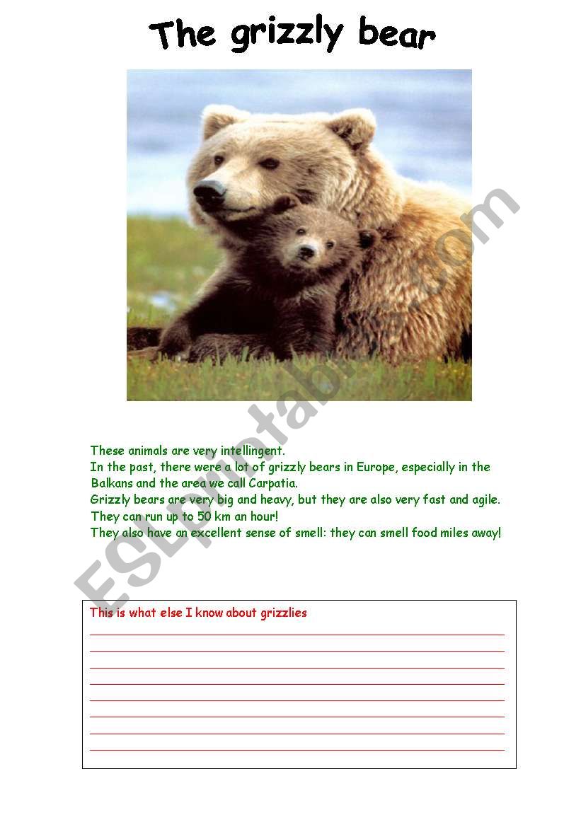 The grizzly bear worksheet