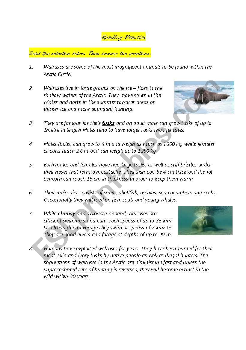 Reading Practice worksheet