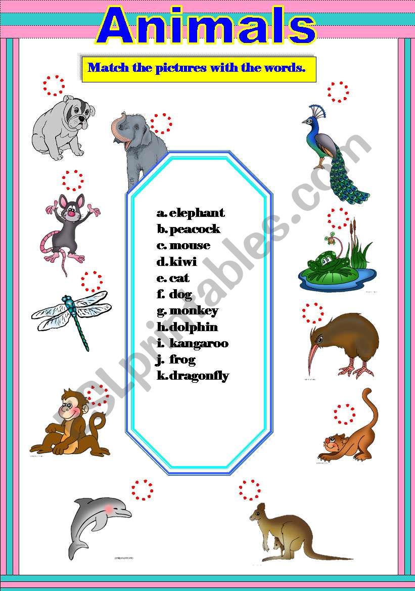 animals worksheet