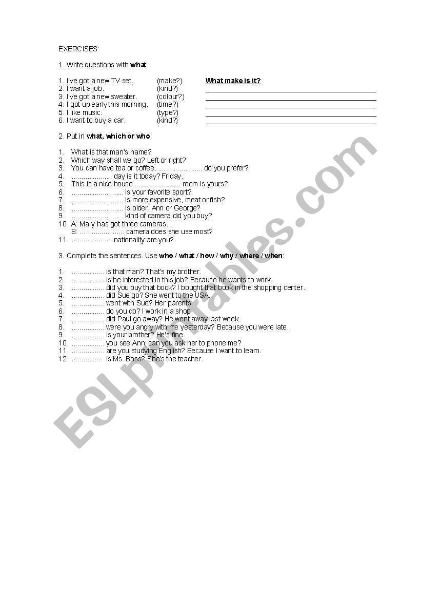 WH-QUESTIONS EXERCISES worksheet