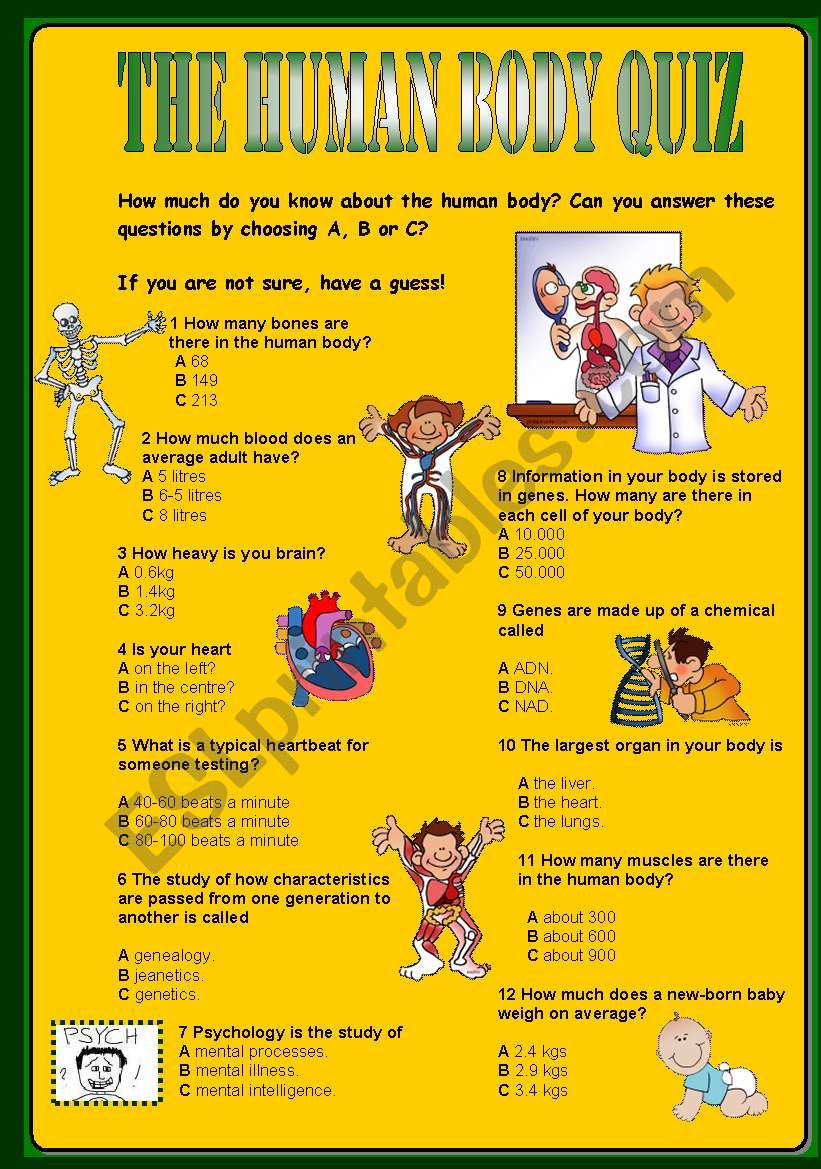 THE HUMAN BODY QUIZ worksheet