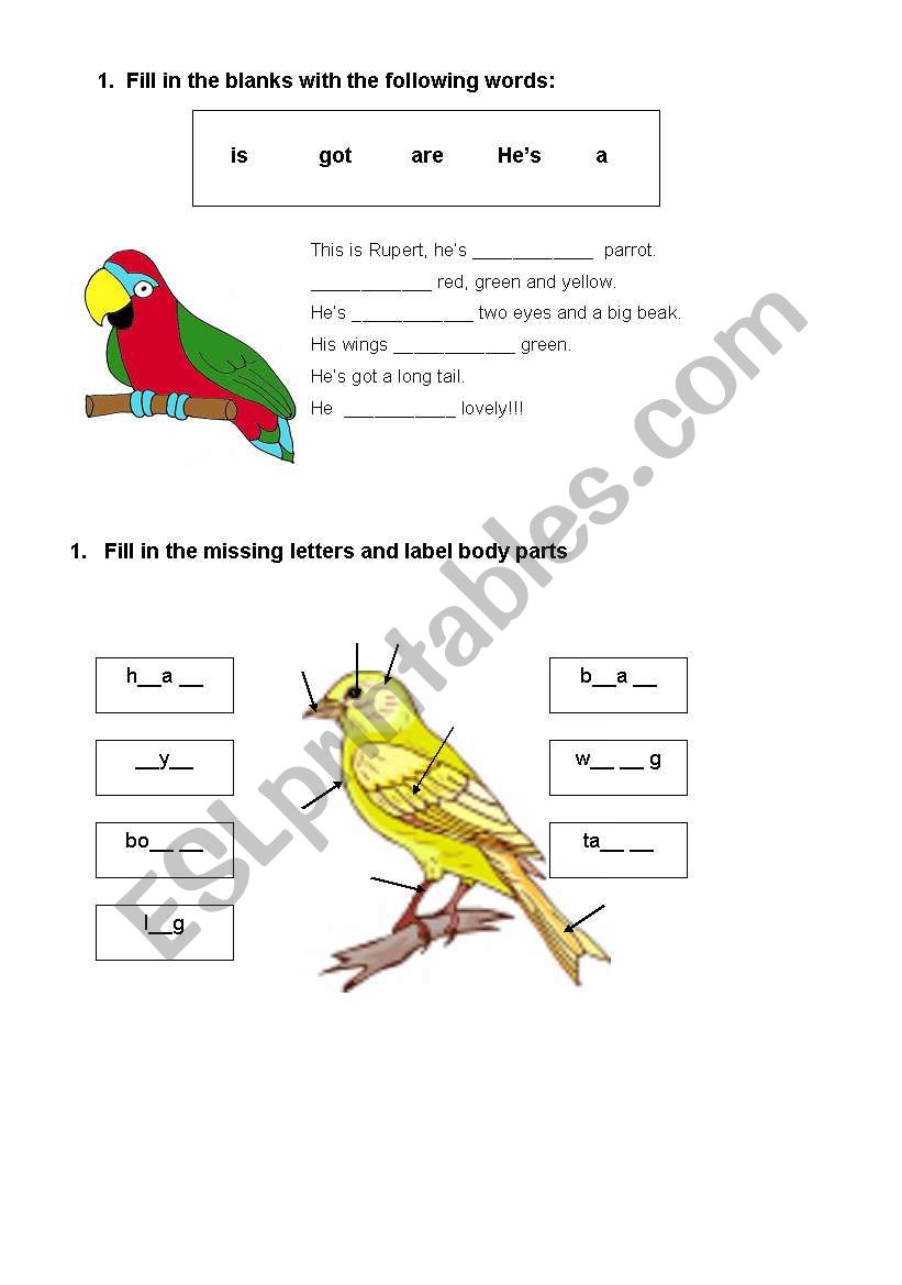 Steps to describing animals worksheet