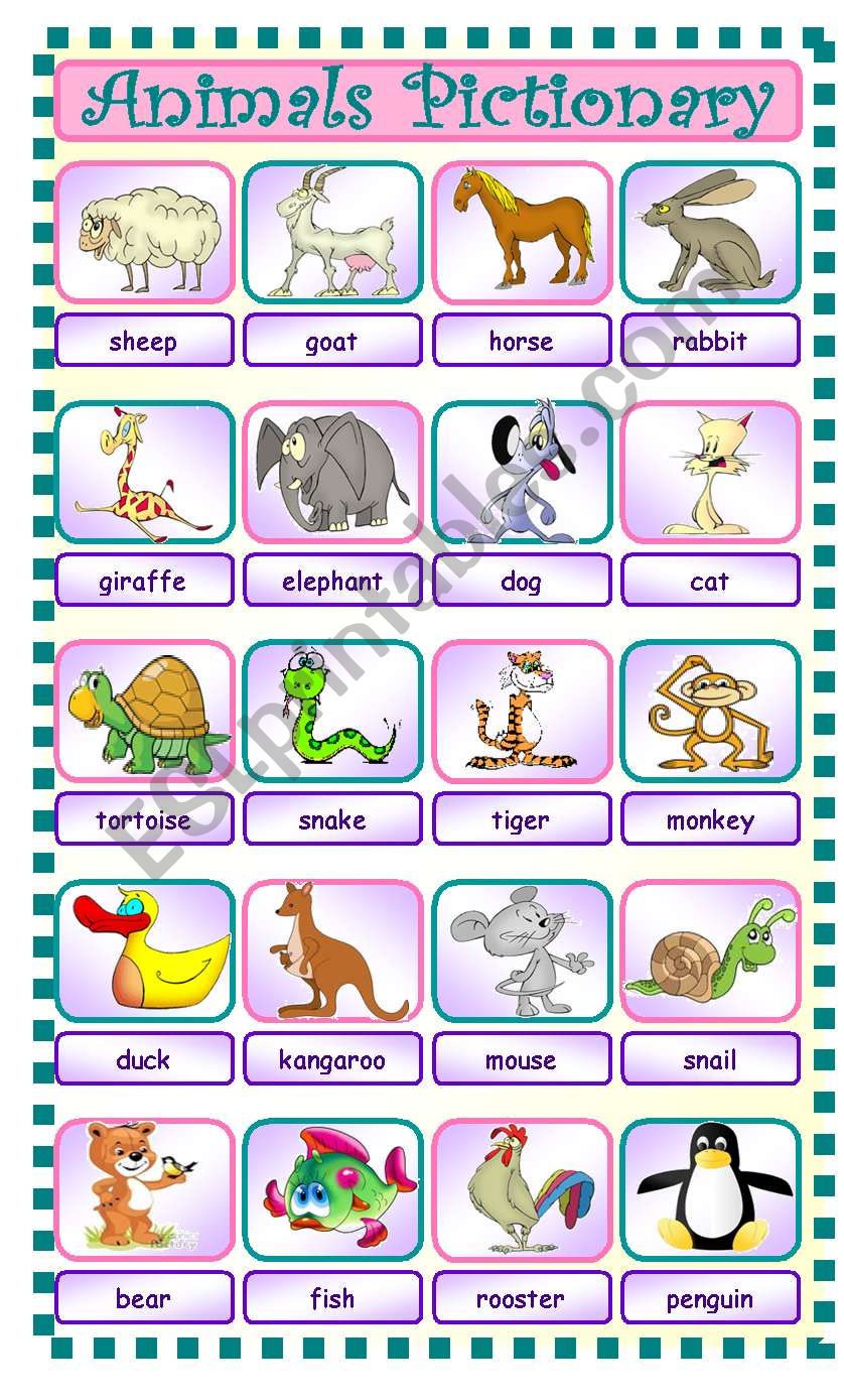 animals pictionary worksheet