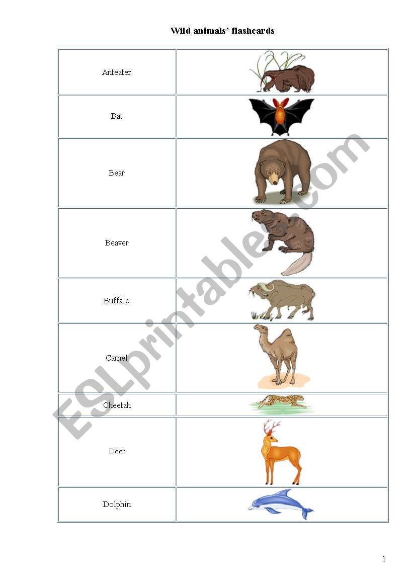 animal vocabulary worksheet