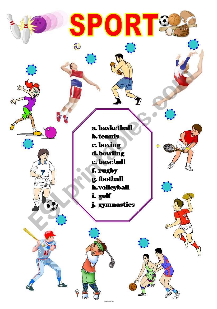 sport worksheet