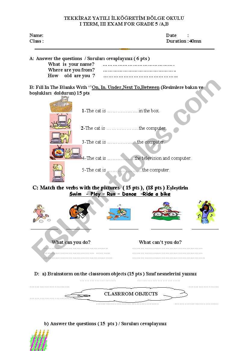 am exam for garde 5 worksheet