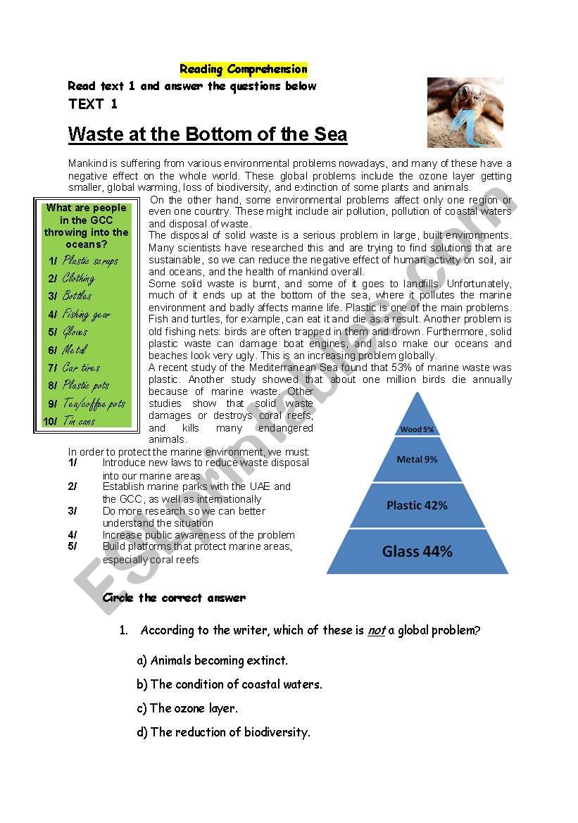 Reading Comprehension worksheet