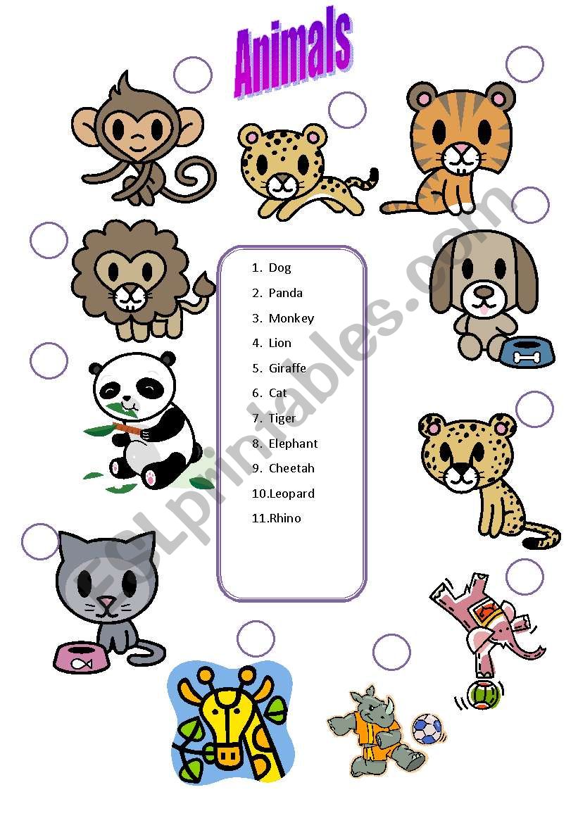 Animals worksheet