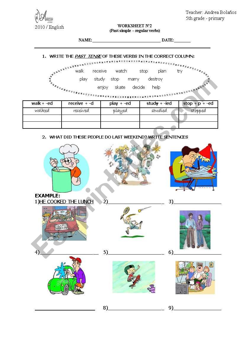 simple past worksheet worksheet