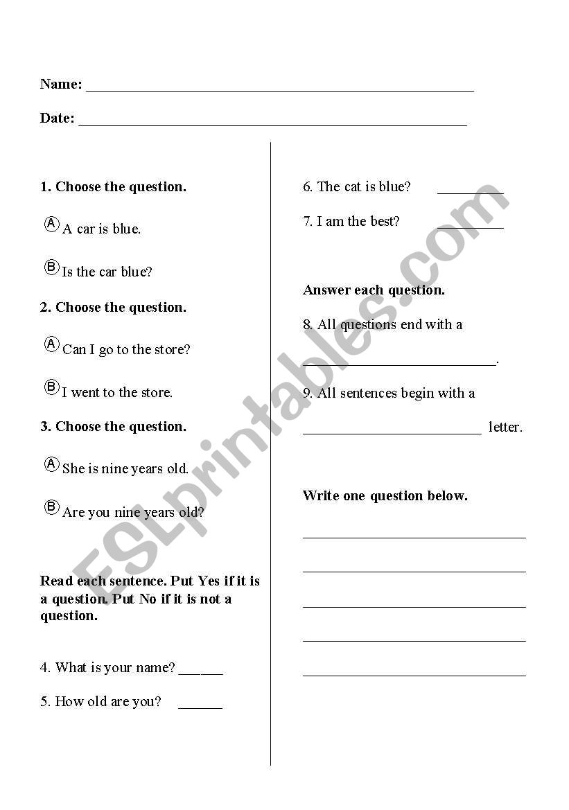 Types of Sentences: Questions worksheet