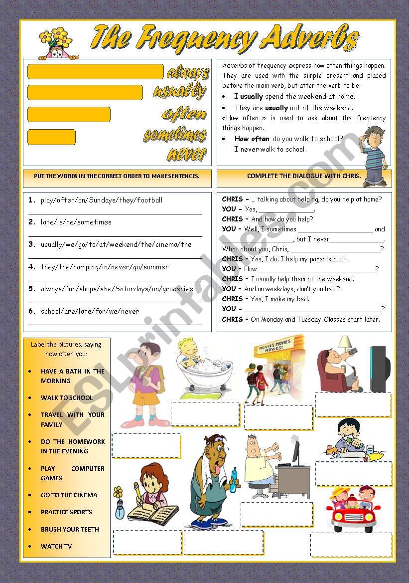 THE FREQUENCY ADVERBS worksheet