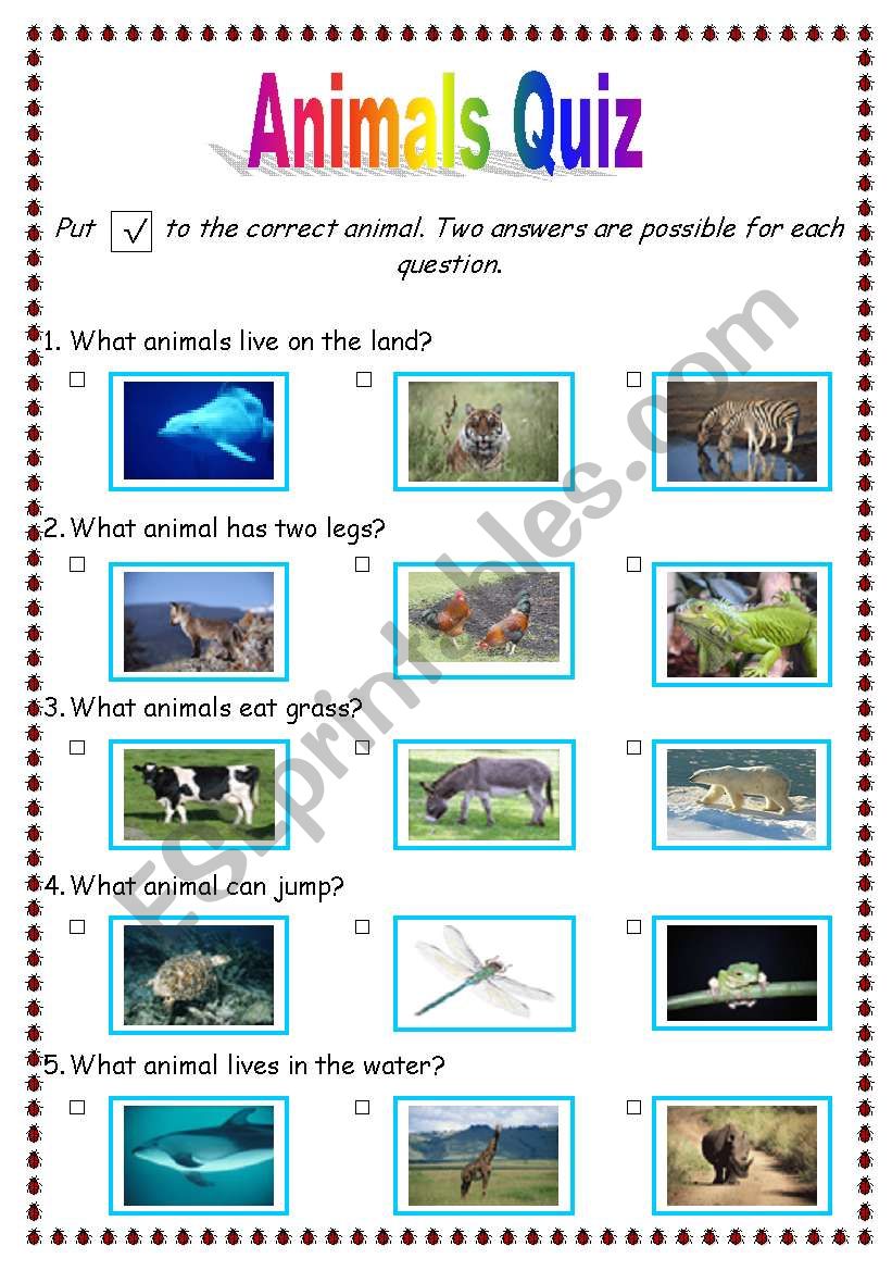 animals quiz worksheet