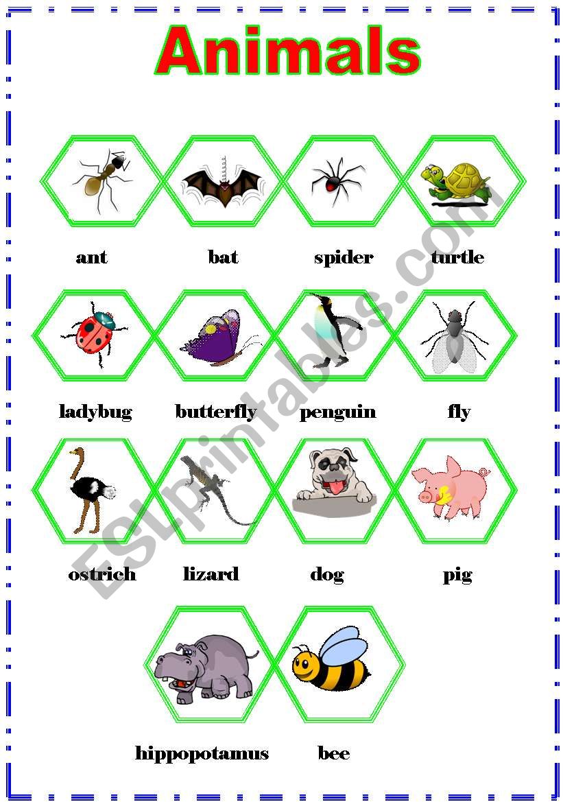 animals worksheet