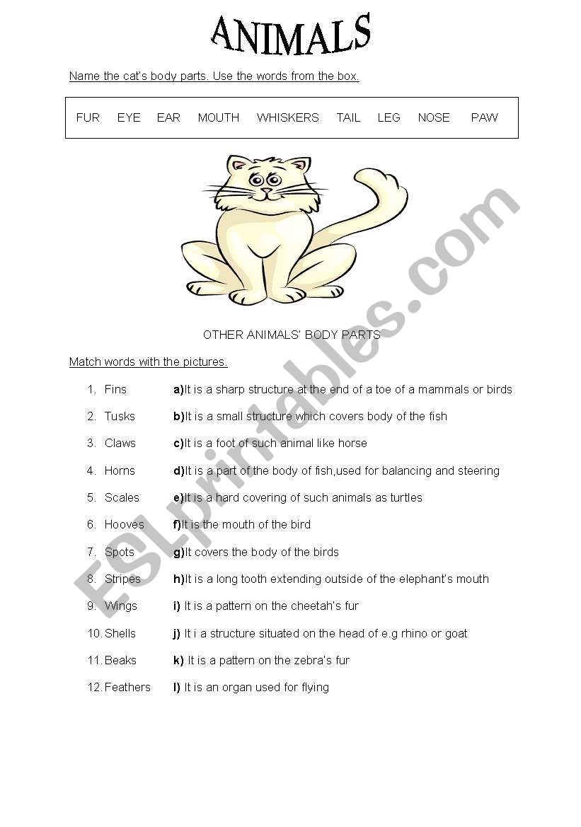 Animals body parts worksheet