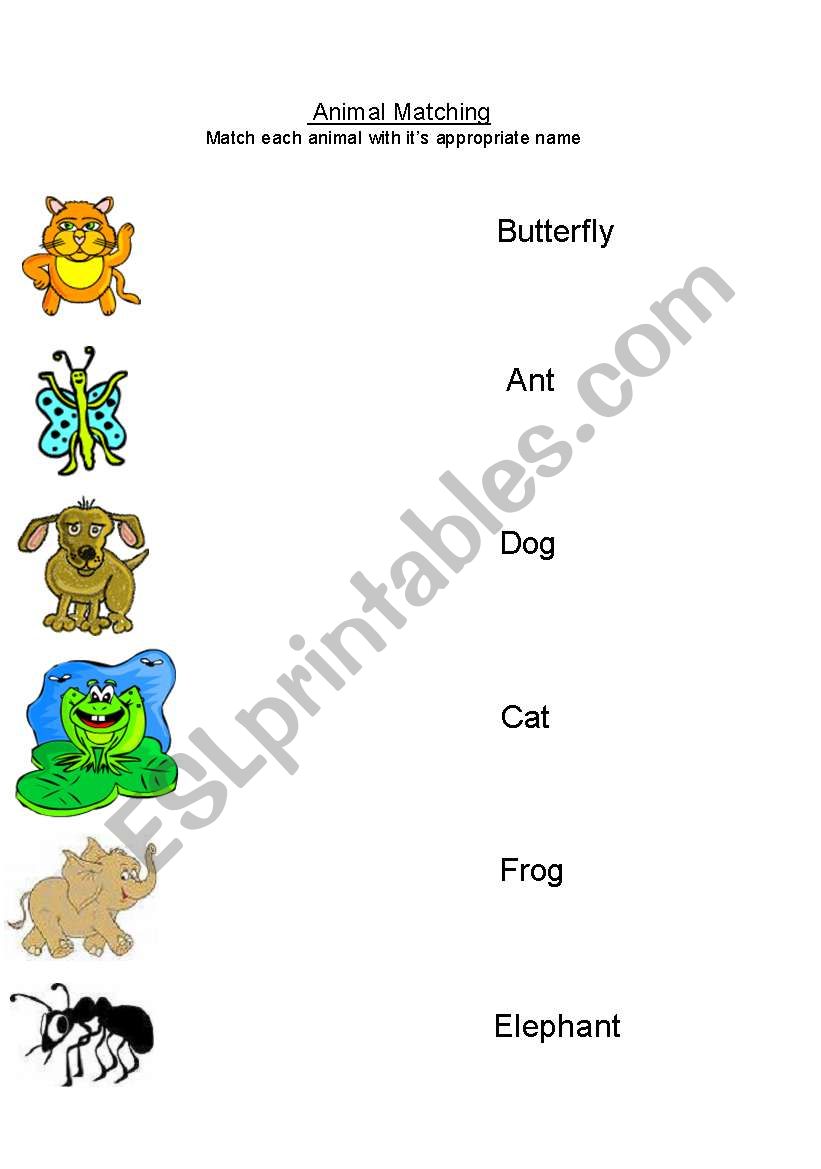 ABC Animals worksheet