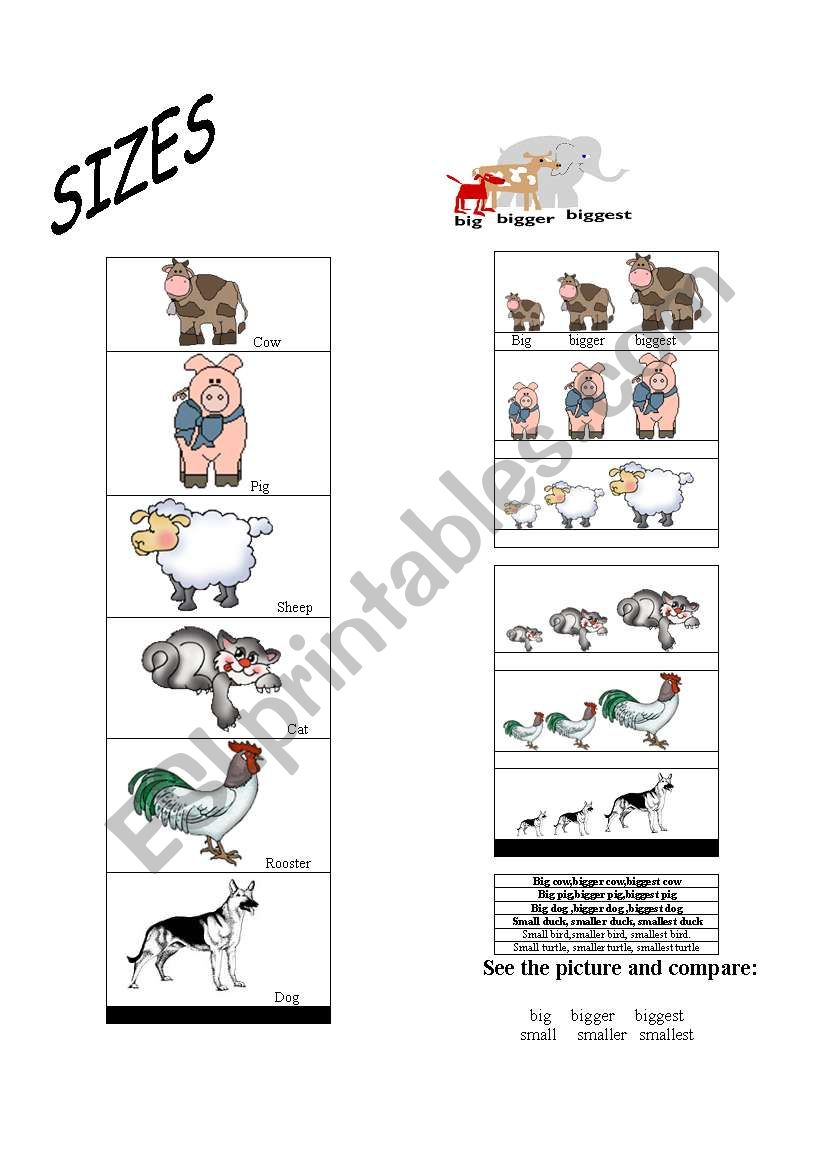 SIZES worksheet