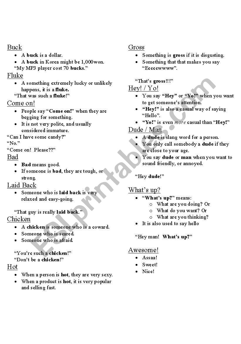 slang worksheet