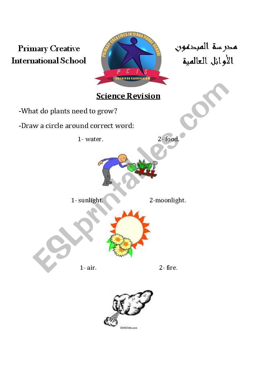 parts of plant worksheet