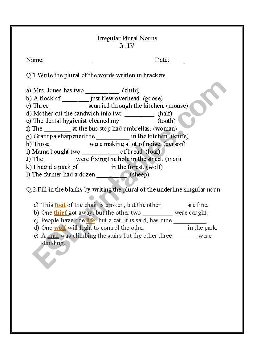 Irregular plural noun worksheet