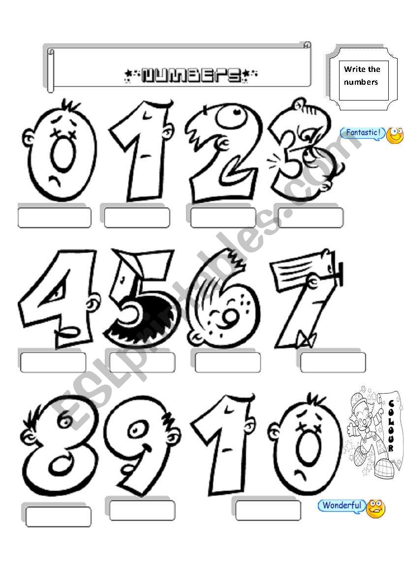 numbers worksheet