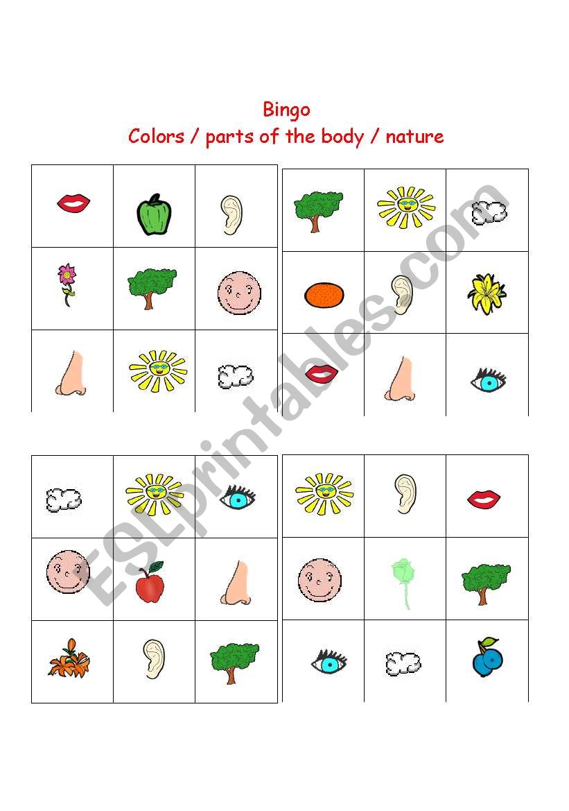 Bingo  worksheet