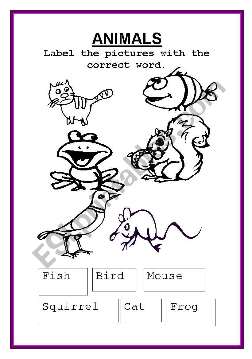 animals worksheet