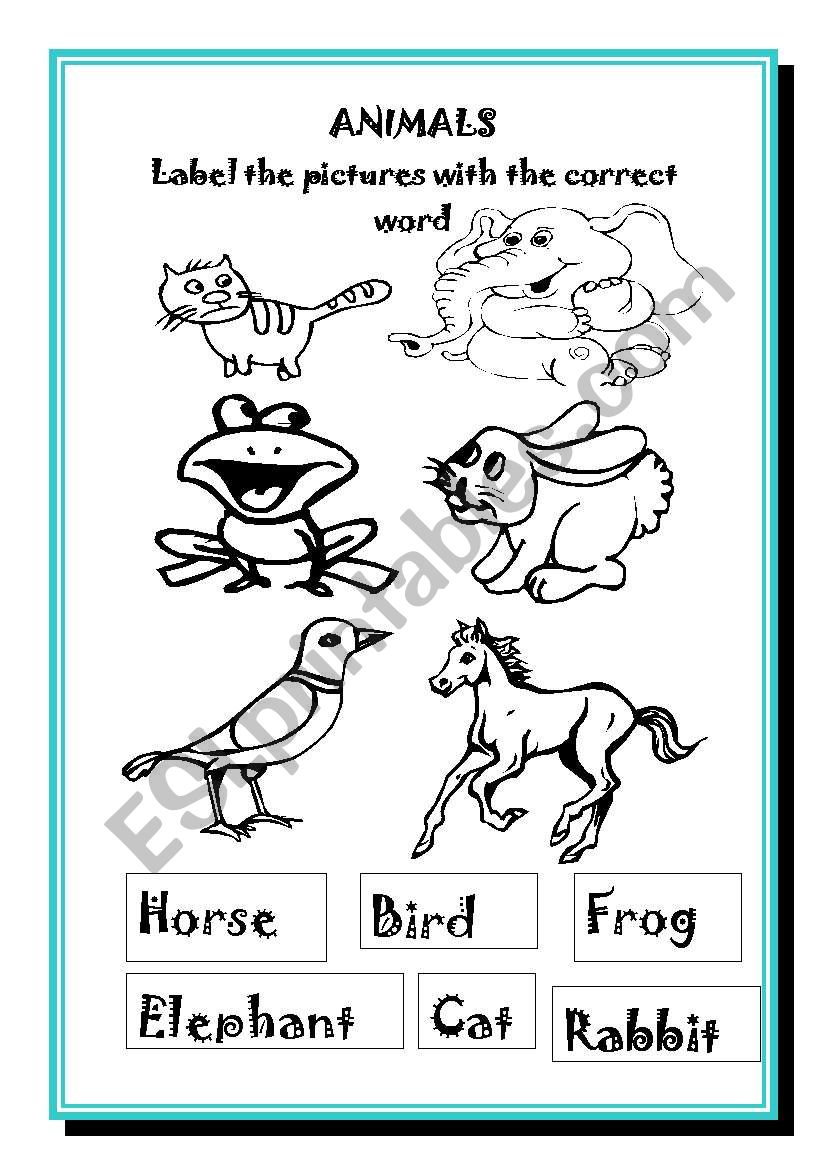 animals2 worksheet