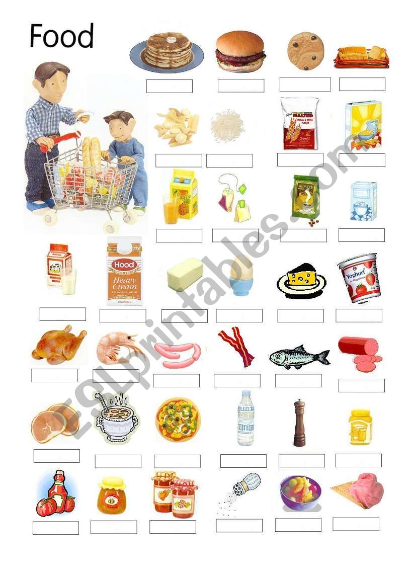 FOOD 1 worksheet