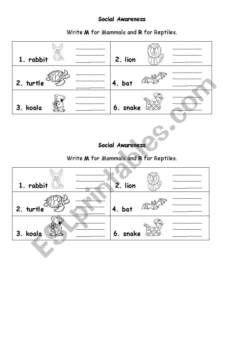 Animals: Mammals and Reptiles worksheet