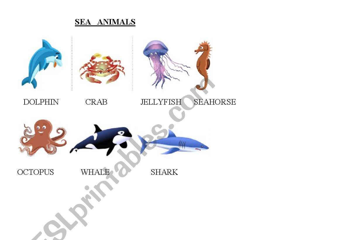 SEA ANIMALS worksheet