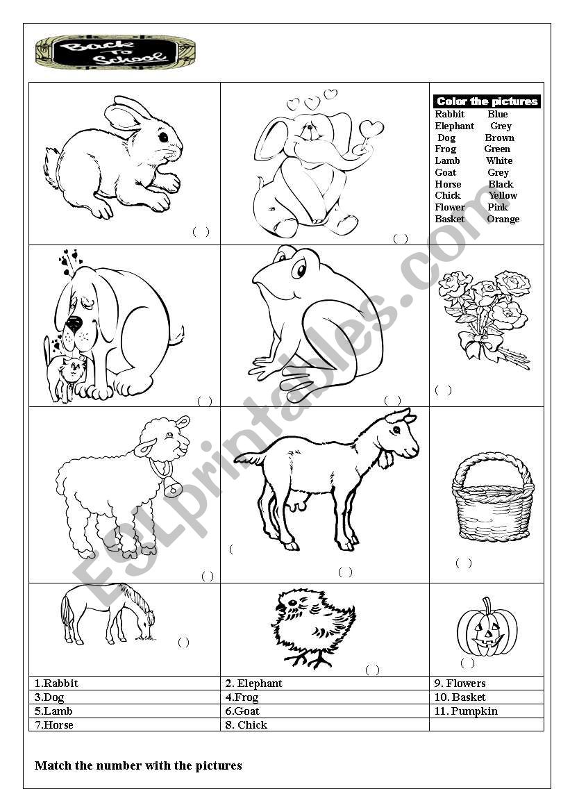 PRE SCHOOL COLOURING worksheet