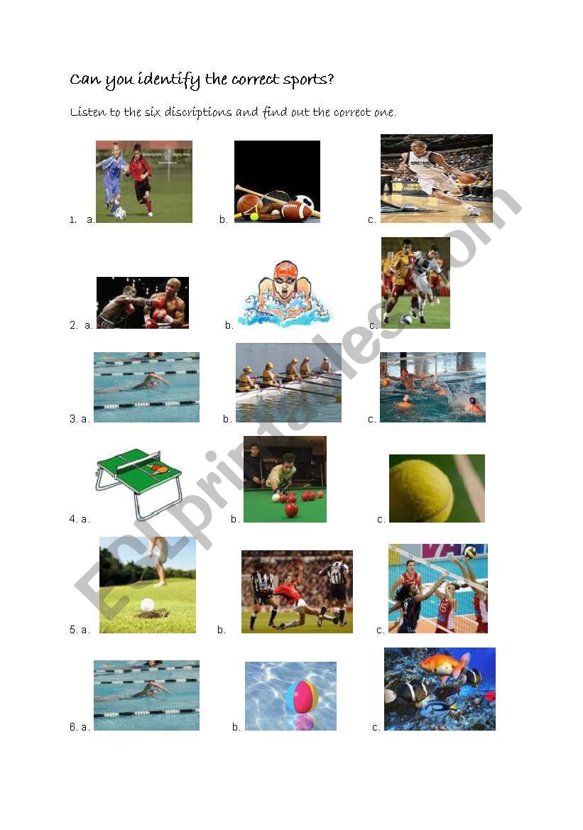 sports worksheet