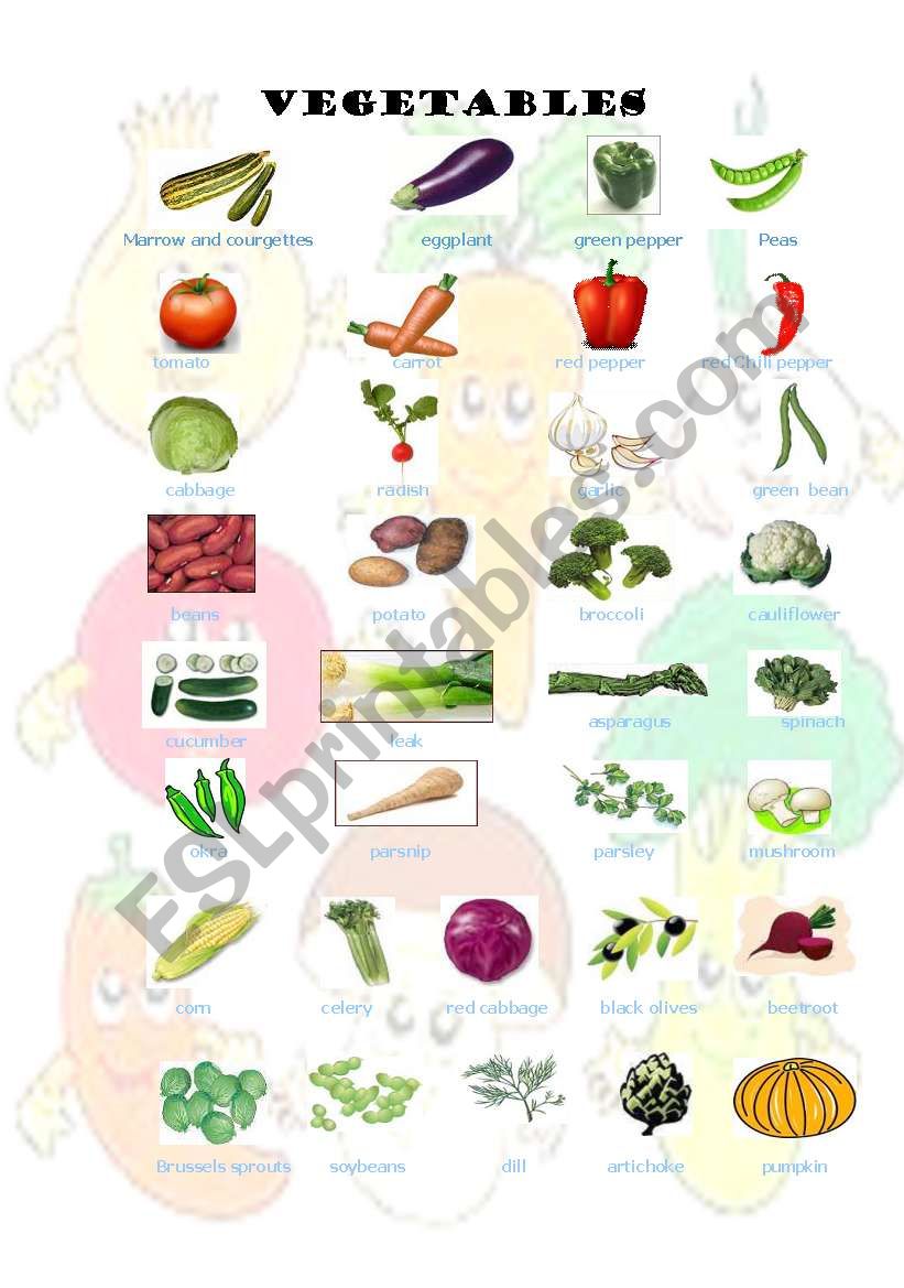 VEGETABLES worksheet