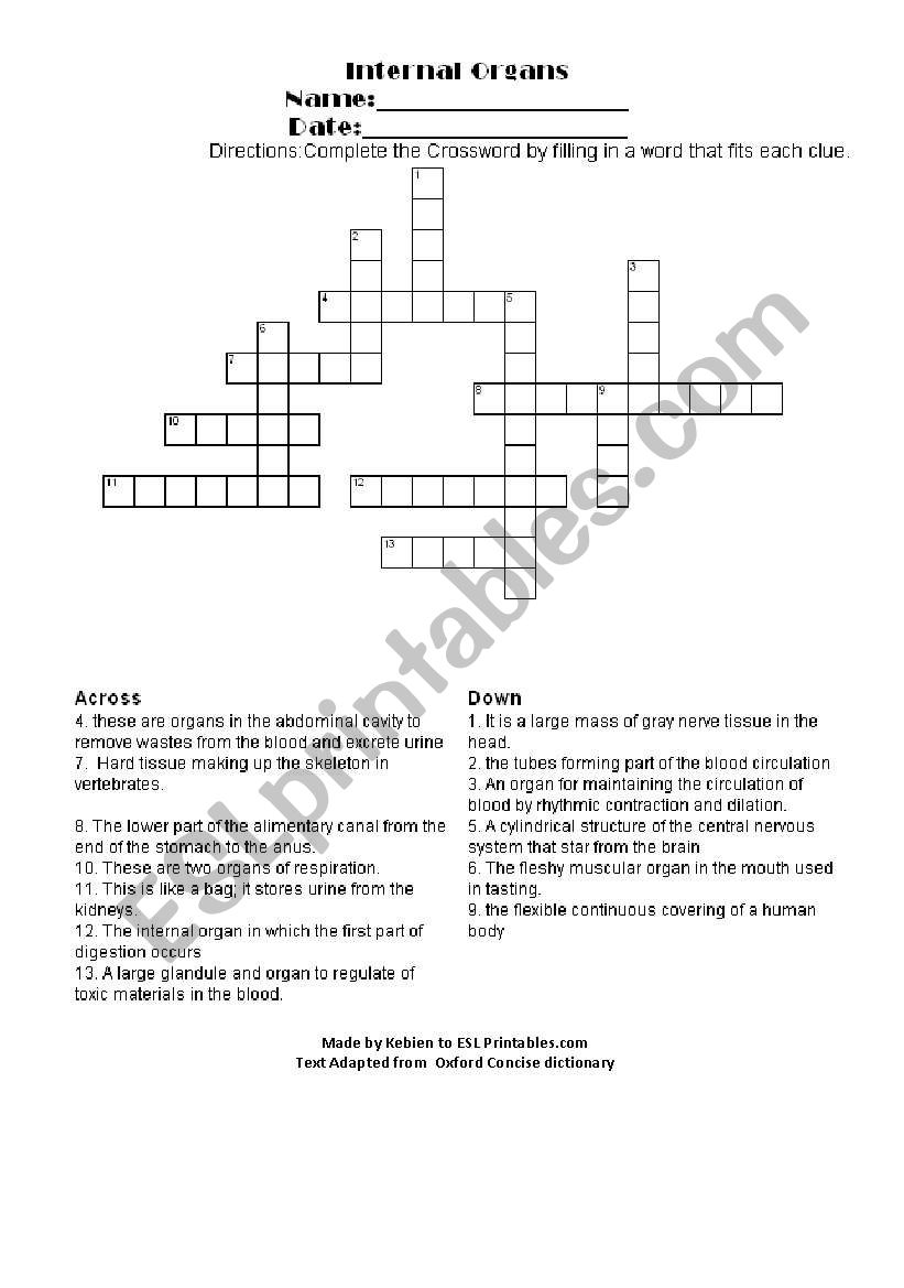 Internal organs worksheet