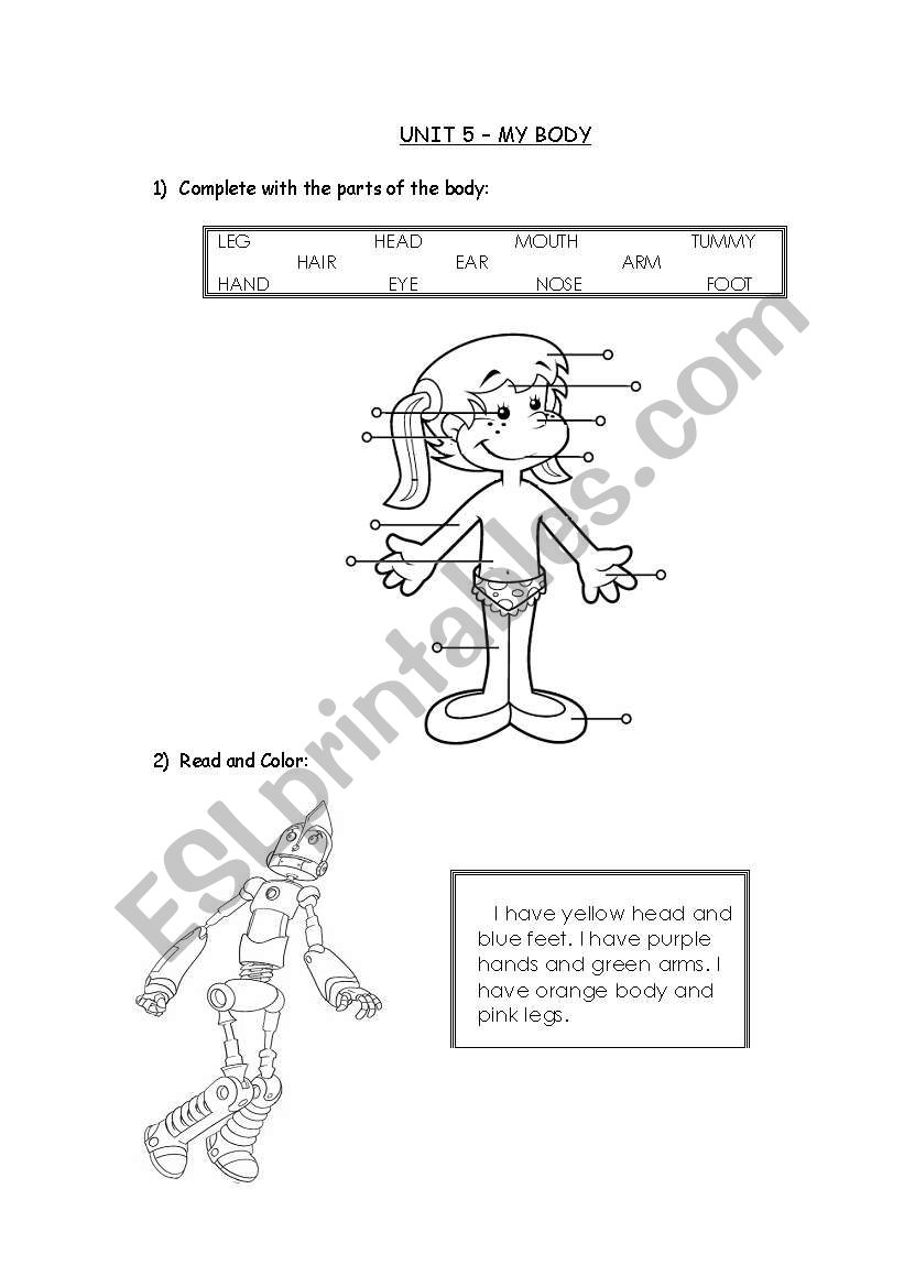 Body parts worksheet