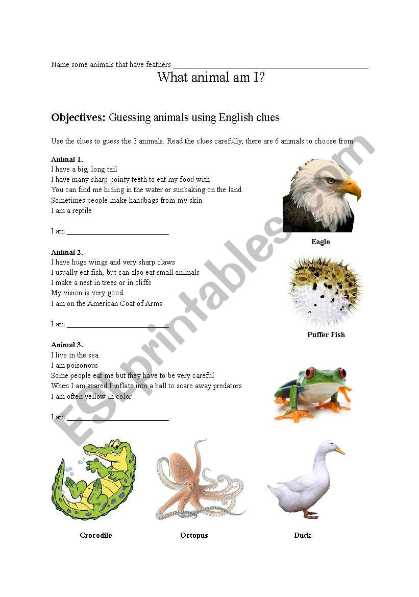 what animal am I worksheet