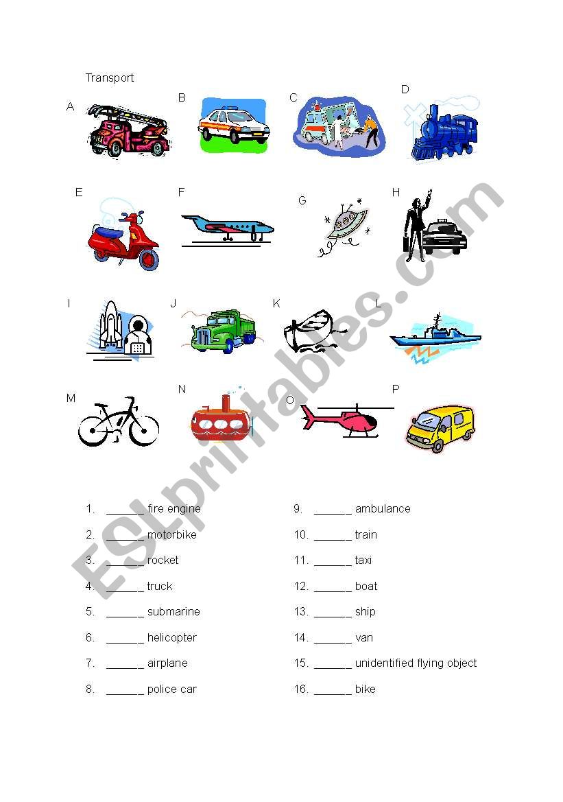 transport worksheet