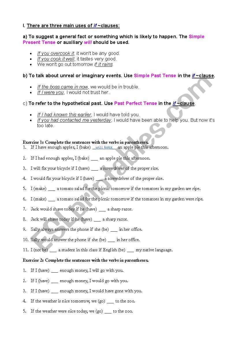 Conditional Sentences worksheet