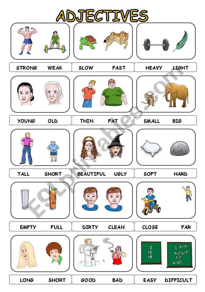 Adjectives And Opposites Worksheet